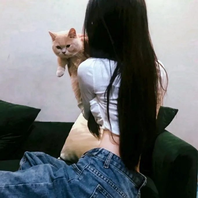 烽火无间